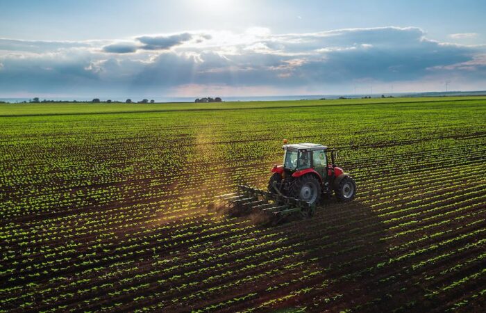 Exploring Portugal’s agricultural startup opportunities