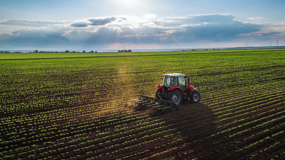 Exploring Portugal’s agricultural startup opportunities