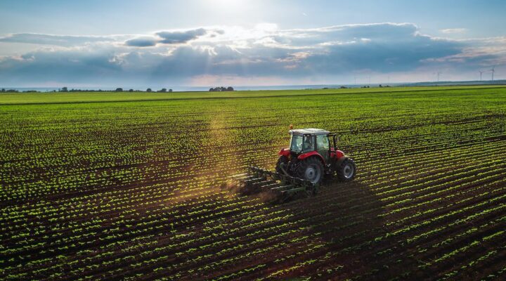 Exploring Portugal’s agricultural startup opportunities